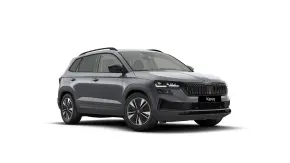 Karoq Selection 1.5 TSI DSG thumbnail